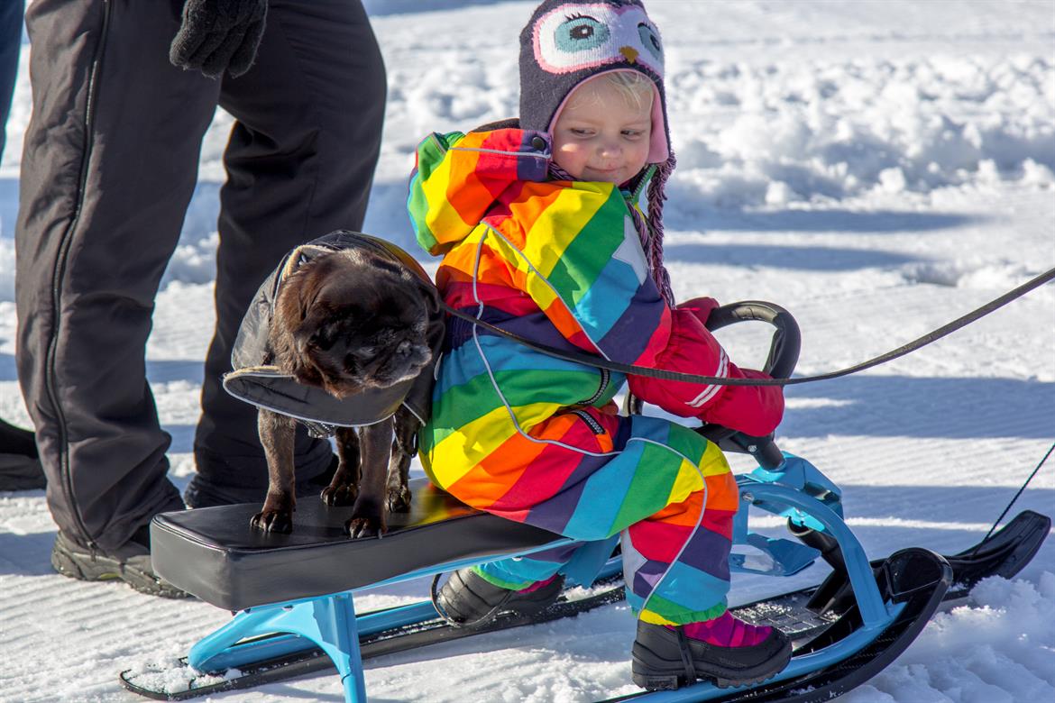 Barn och hund på bob tur