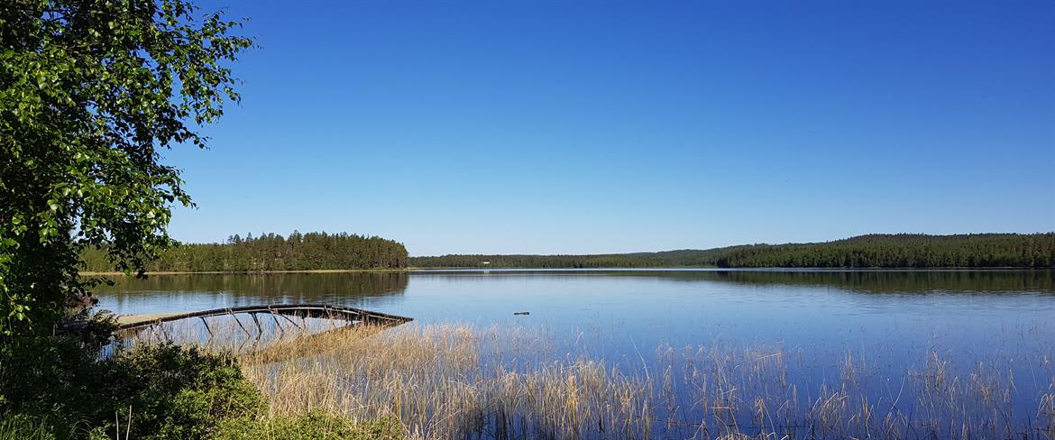 Harrträsket the Lake