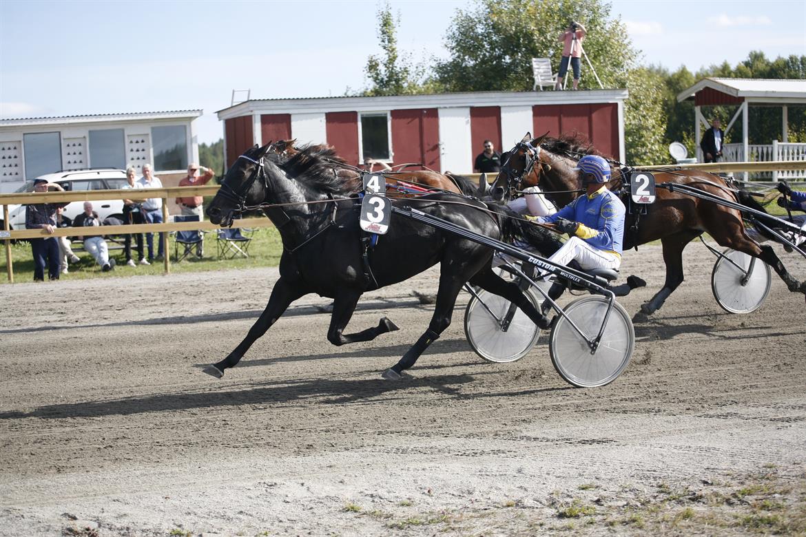 Vitsandstravet tävling - foto Britt Lindgren