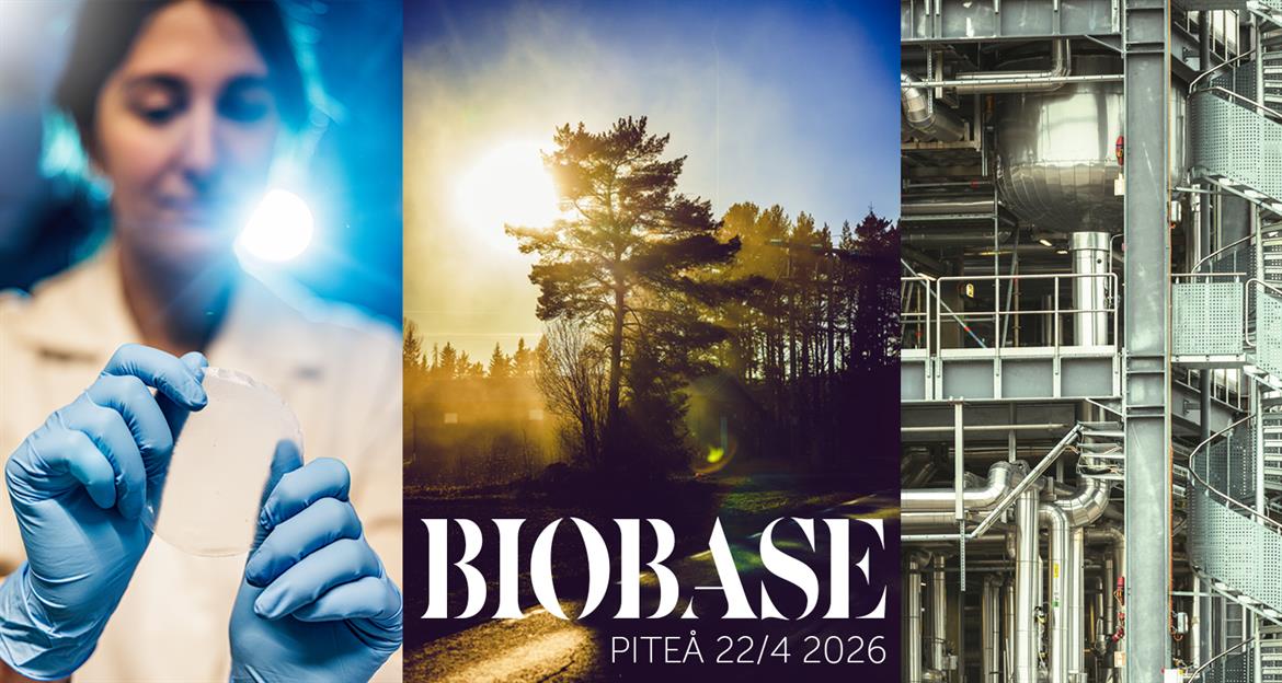 Biobase Piteå 2026