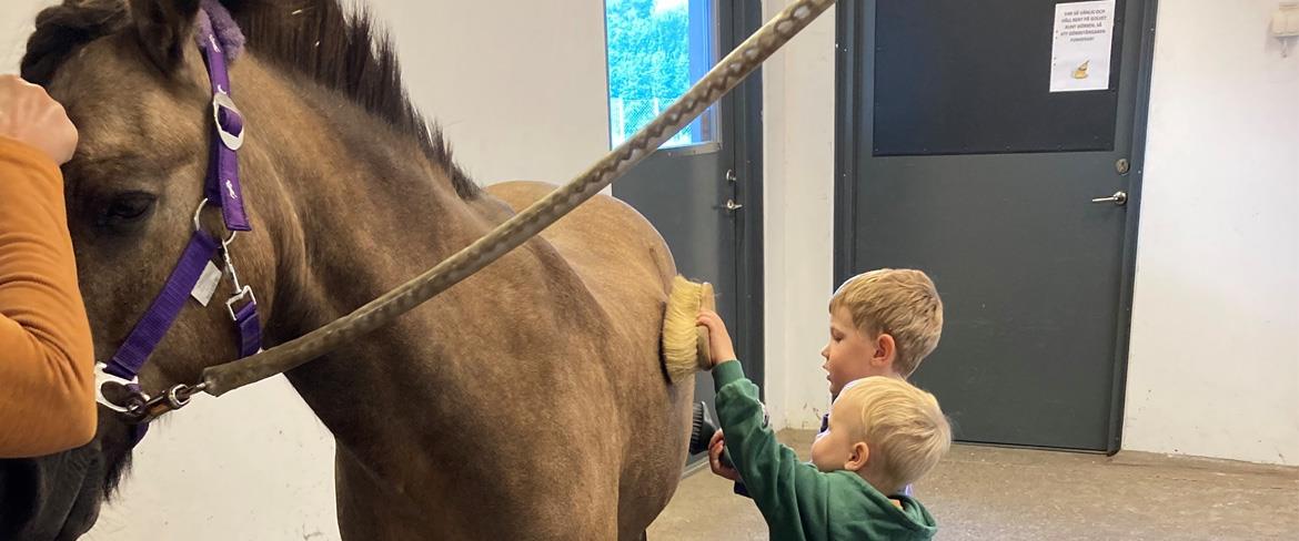 Barn som ryktar en ponny