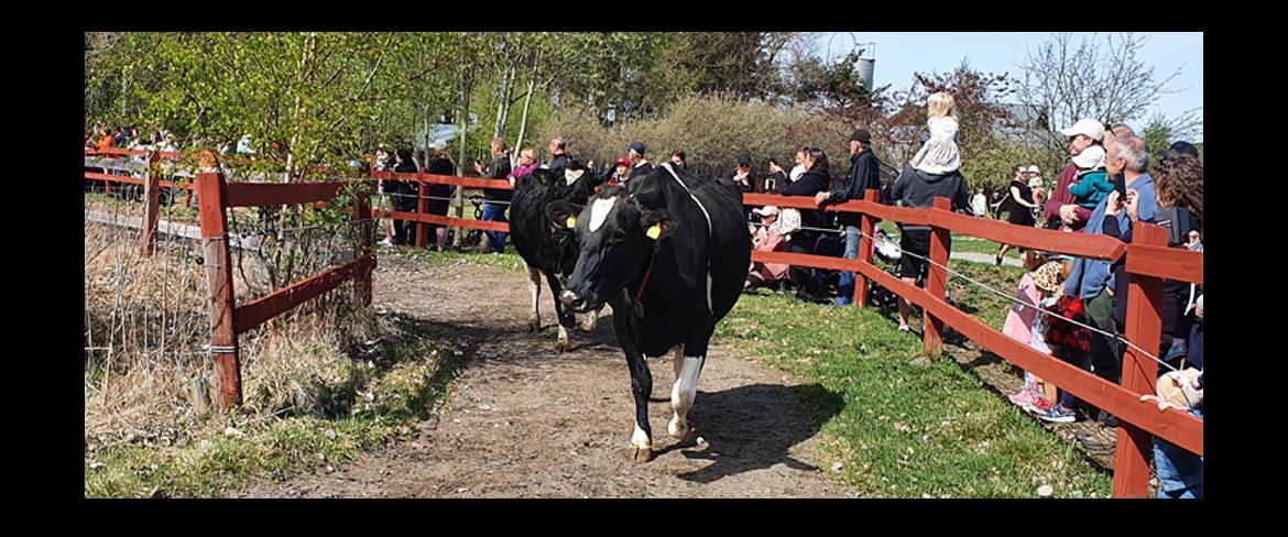 Betessläpp