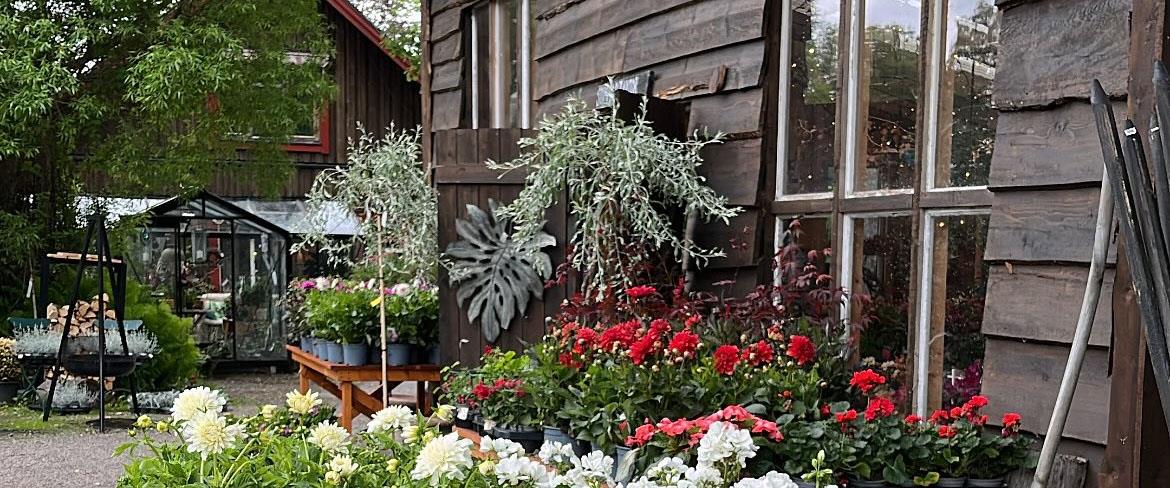 Blommor och hus 1170x488
