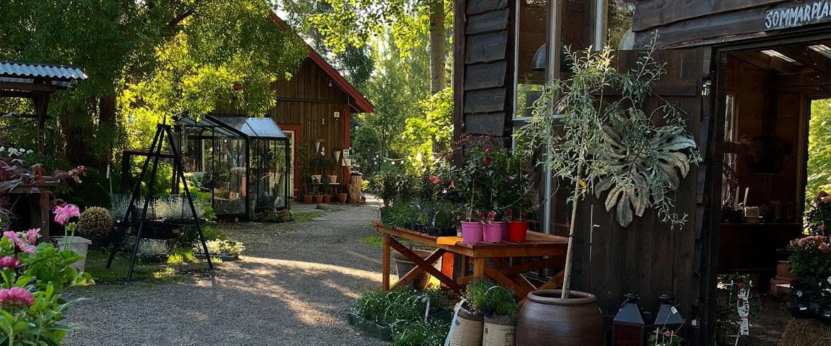 Byggnader, stig, blommor