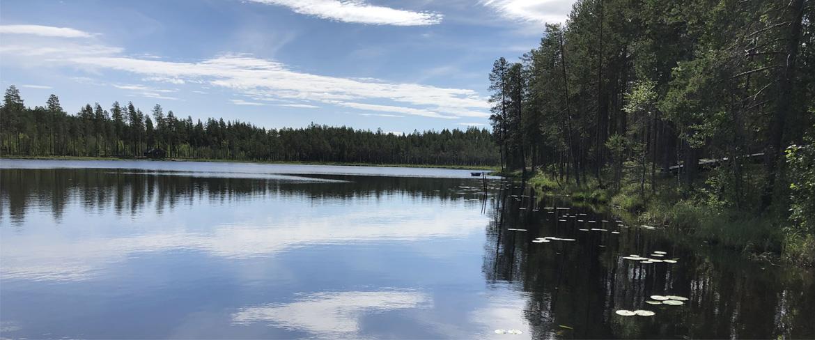 Frängtjärn spegelblankt