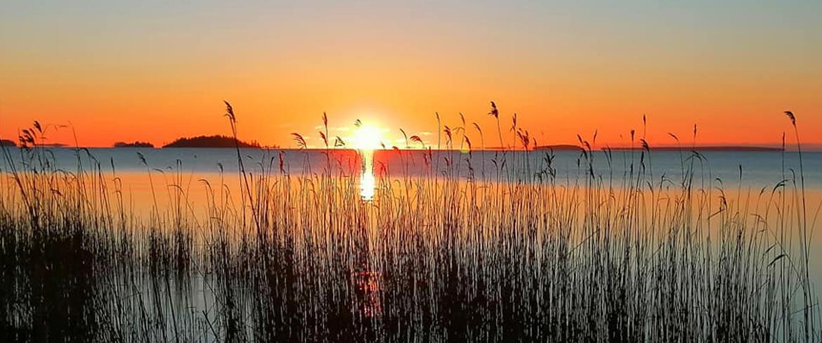 Gläntan en vacker vinterdag