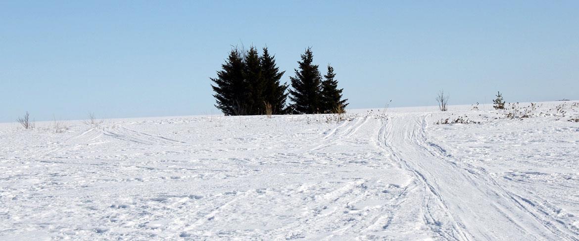 Horisont från storräbben 1170x488