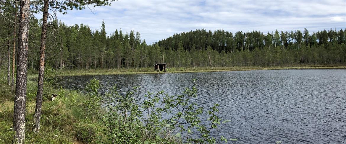 Södra Sågbergstjärn the lake