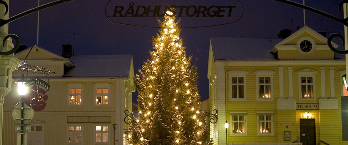 Rådhuset och Piteå museum med en av julens vackra julgranar