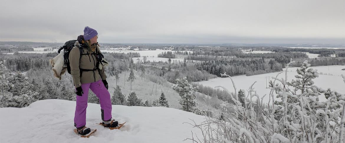 Lapland 1170x488