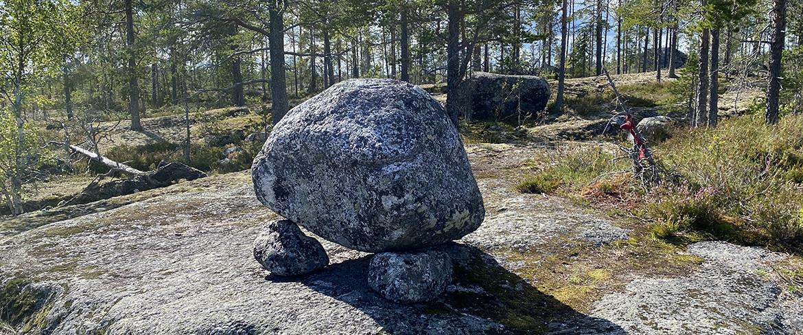 Liggande hönan längs Arkeologstigen