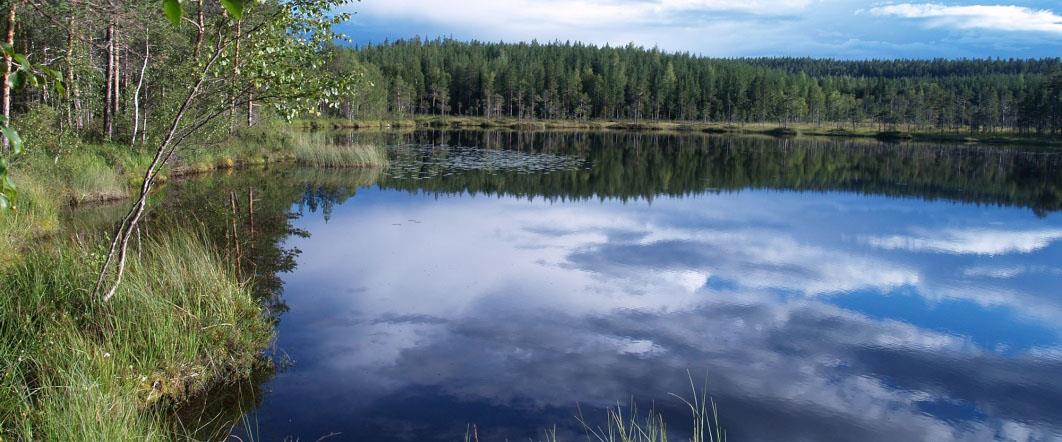 Lustgårdens naturreservat-guidenatura2020 1170x488
