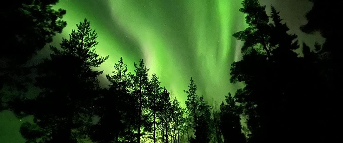 Norrsken_2023_fri_Mona Bergstedt 1170x488