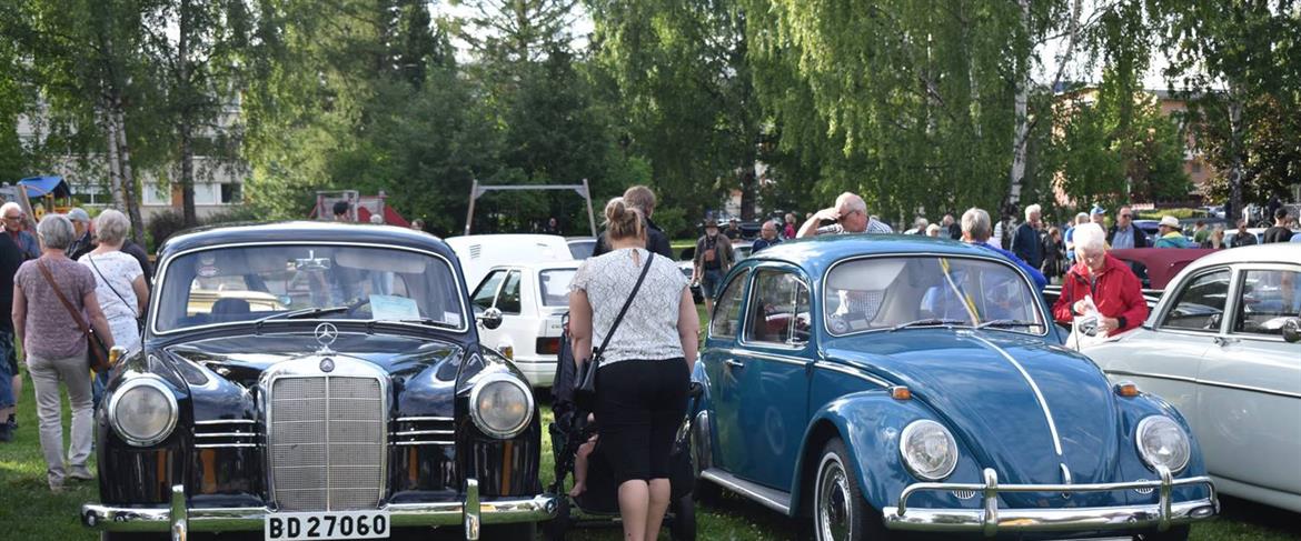 Fordon från motorkväll i parken