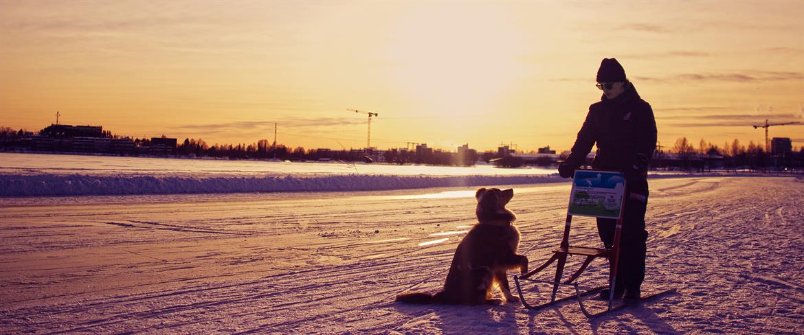 Sparktur med hund på isbanorna