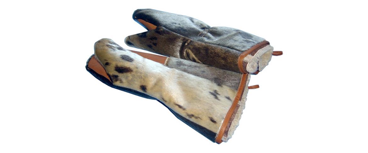 Sälhandskar 1170x488