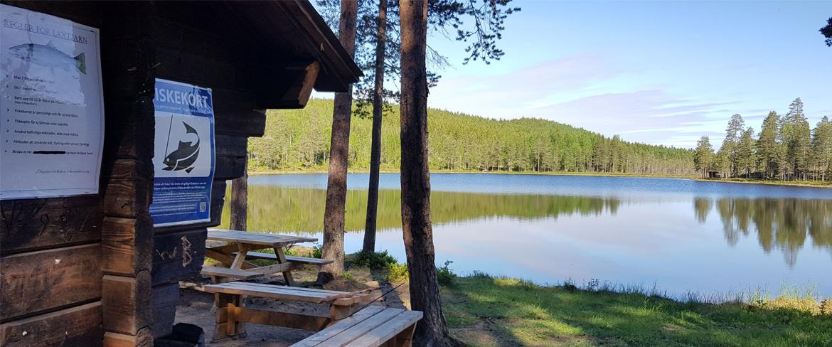 Laxtjärn Fiske