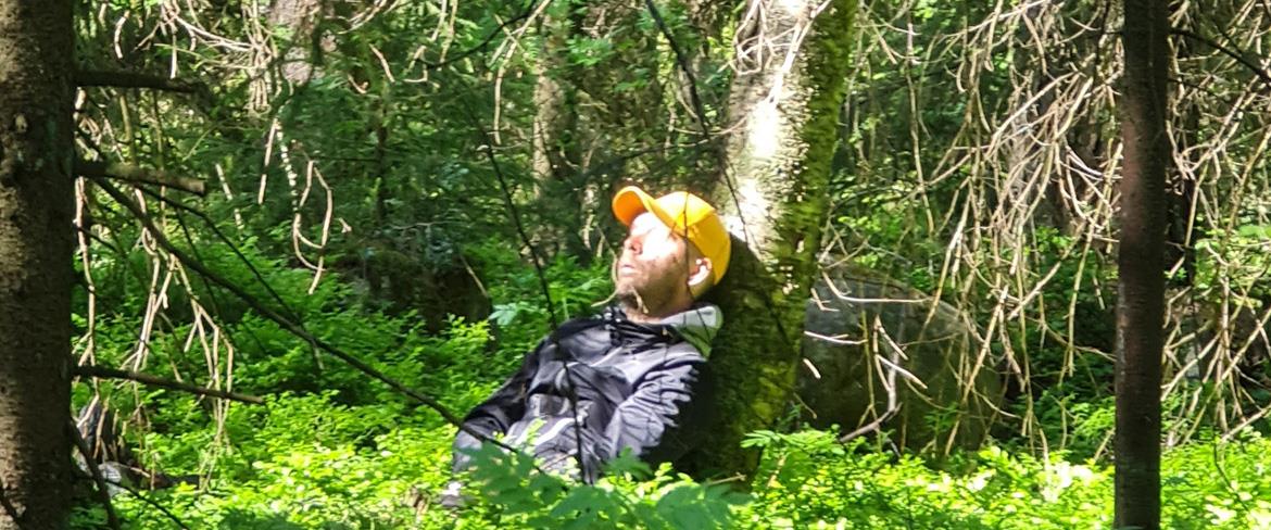 Skogsbesök