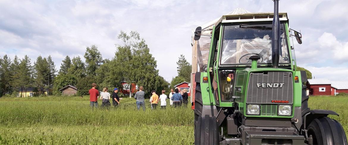 Traktor på rabarbersafari