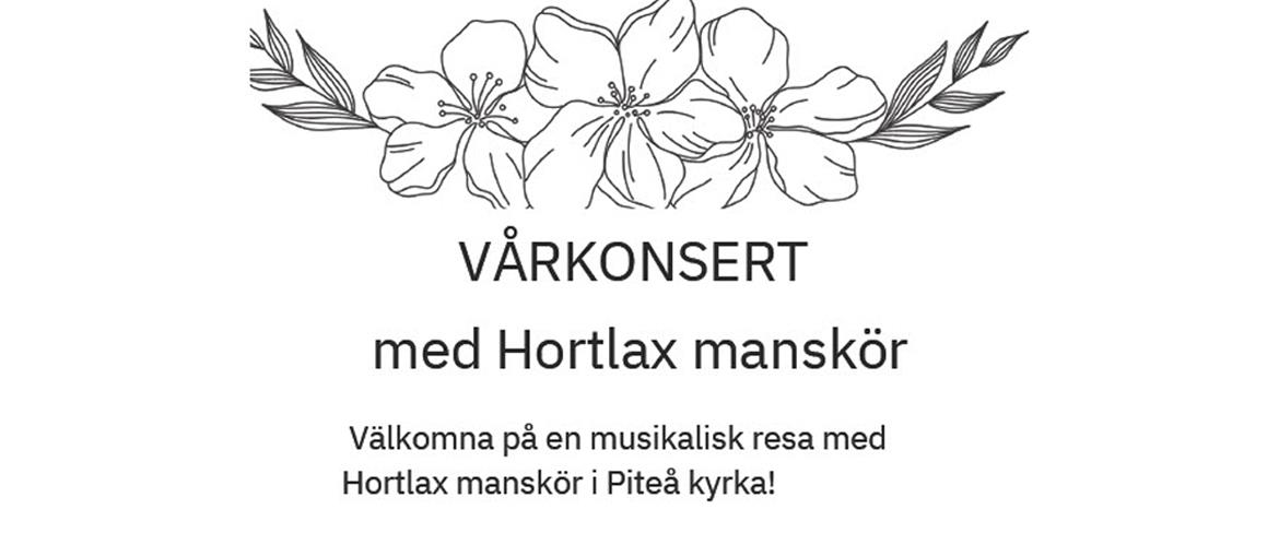 Välkomna på en musikalisk resa med Hortlax manskör i Piteå kyrka!