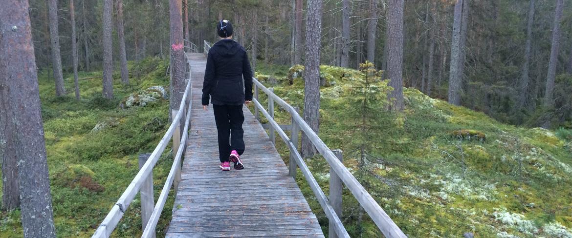 Vandrare längs Fåröns spångar