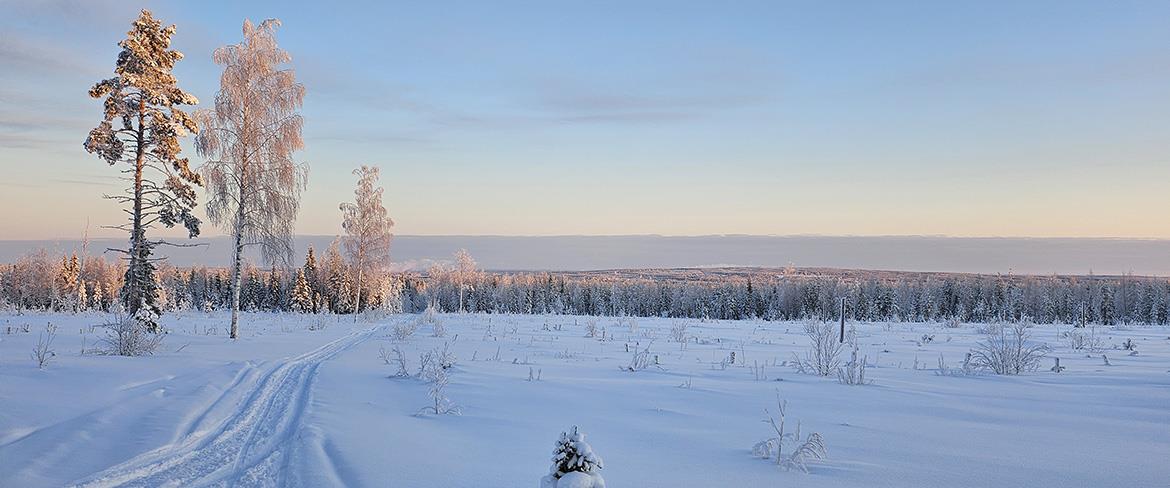 Vinterlandskap