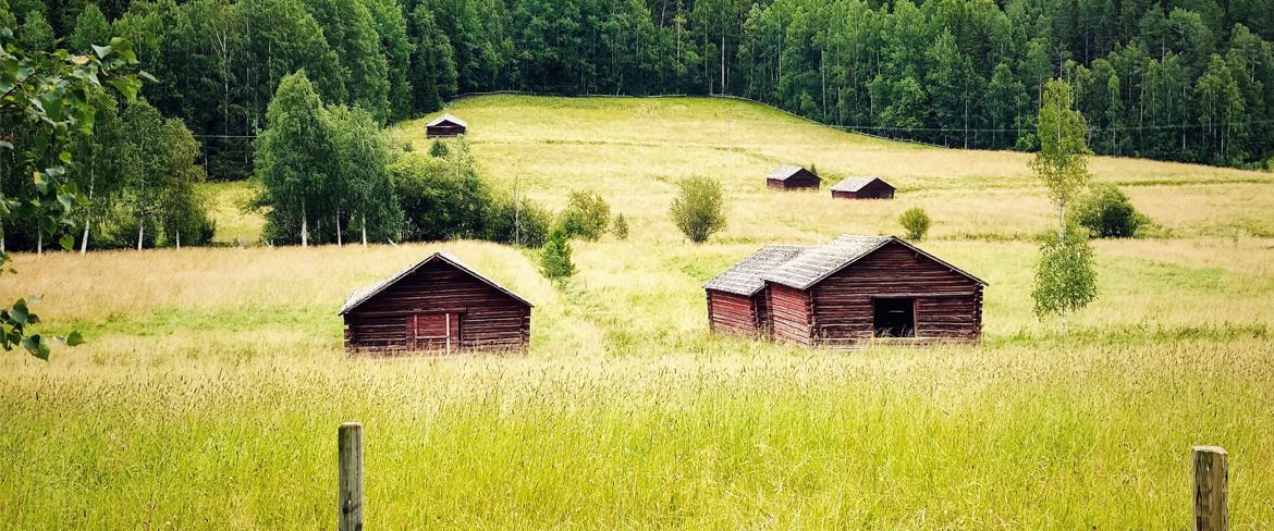 Rosfors äng med lador