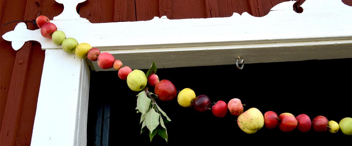 Äpplets dag & skördemarknad i Öjeb