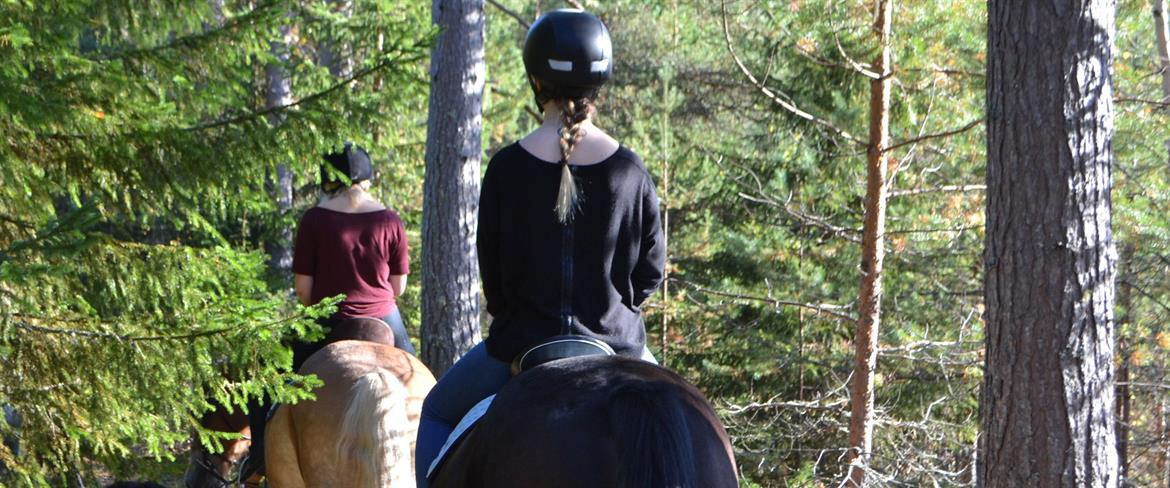 Take a horseride at Jössgården