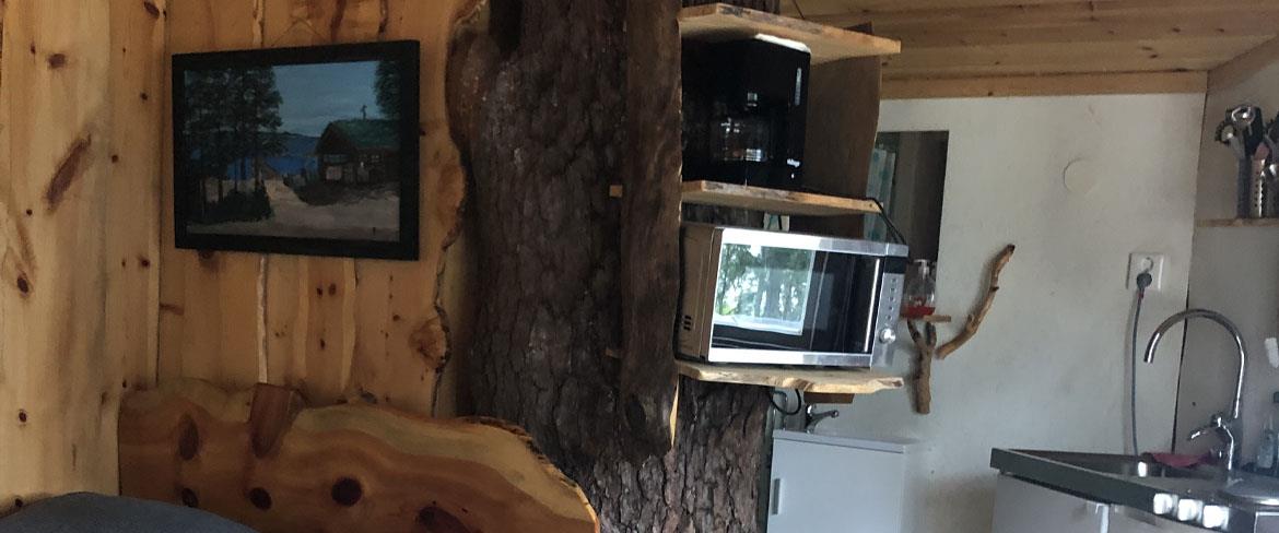 trädkojan 2 1170x488