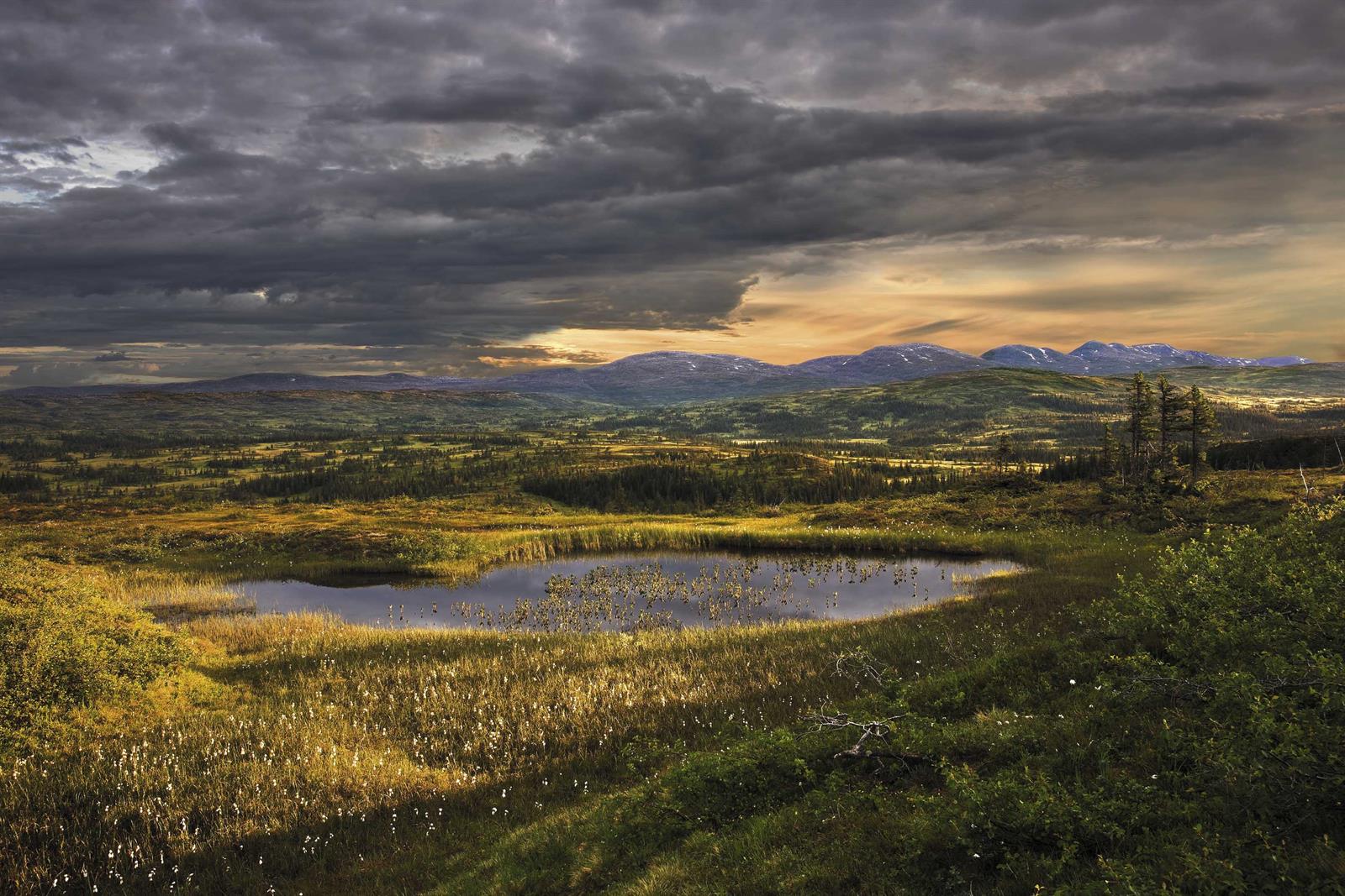 Blåfjella-Skjækerfjella/ Låarte-Skæhkere Nasjonalpark