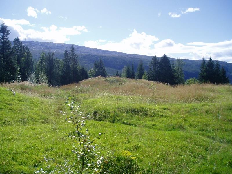 Væremsfeltet