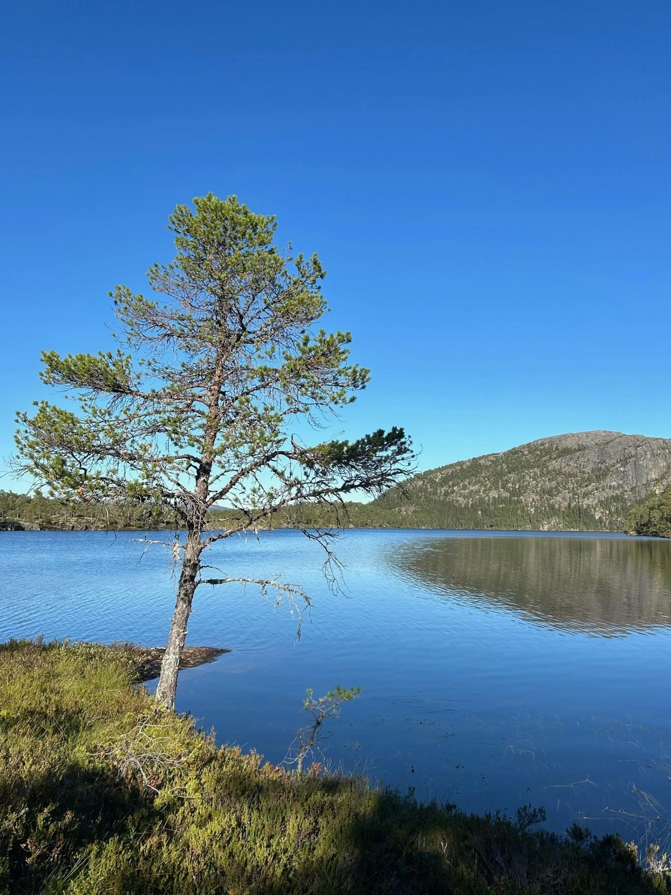 Med Konovassmusikken gjennom 115 år