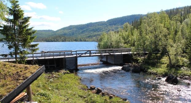 Millavassdammen