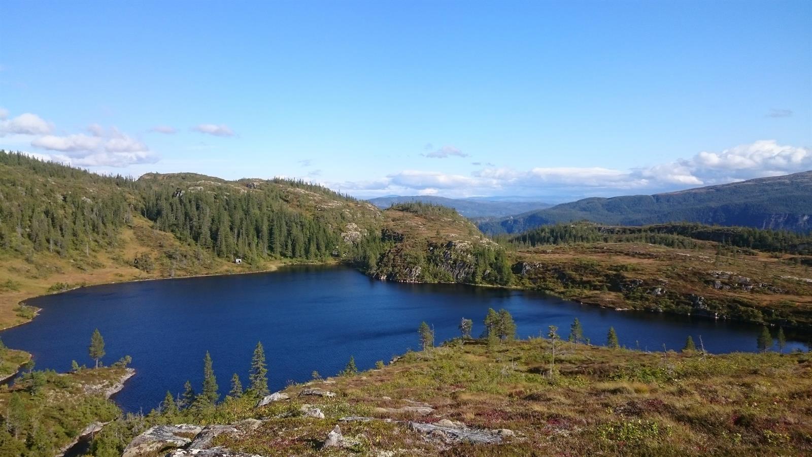 Hiking: Fagerliklumpen 477 masl.