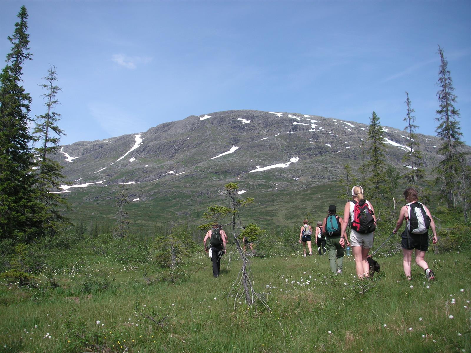 Turforslag: Heimdalhaugen / Aajmehtaelie 1159 moh.