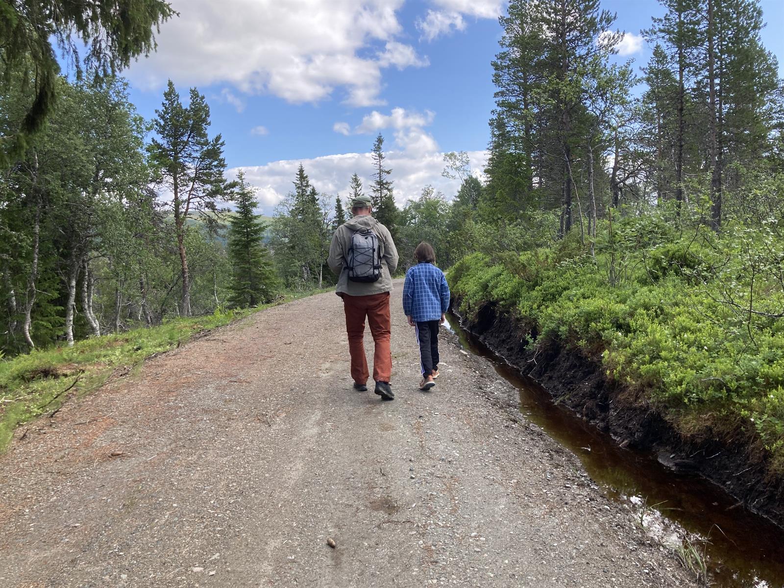 Turforslag: Gamle Lifjellveg
