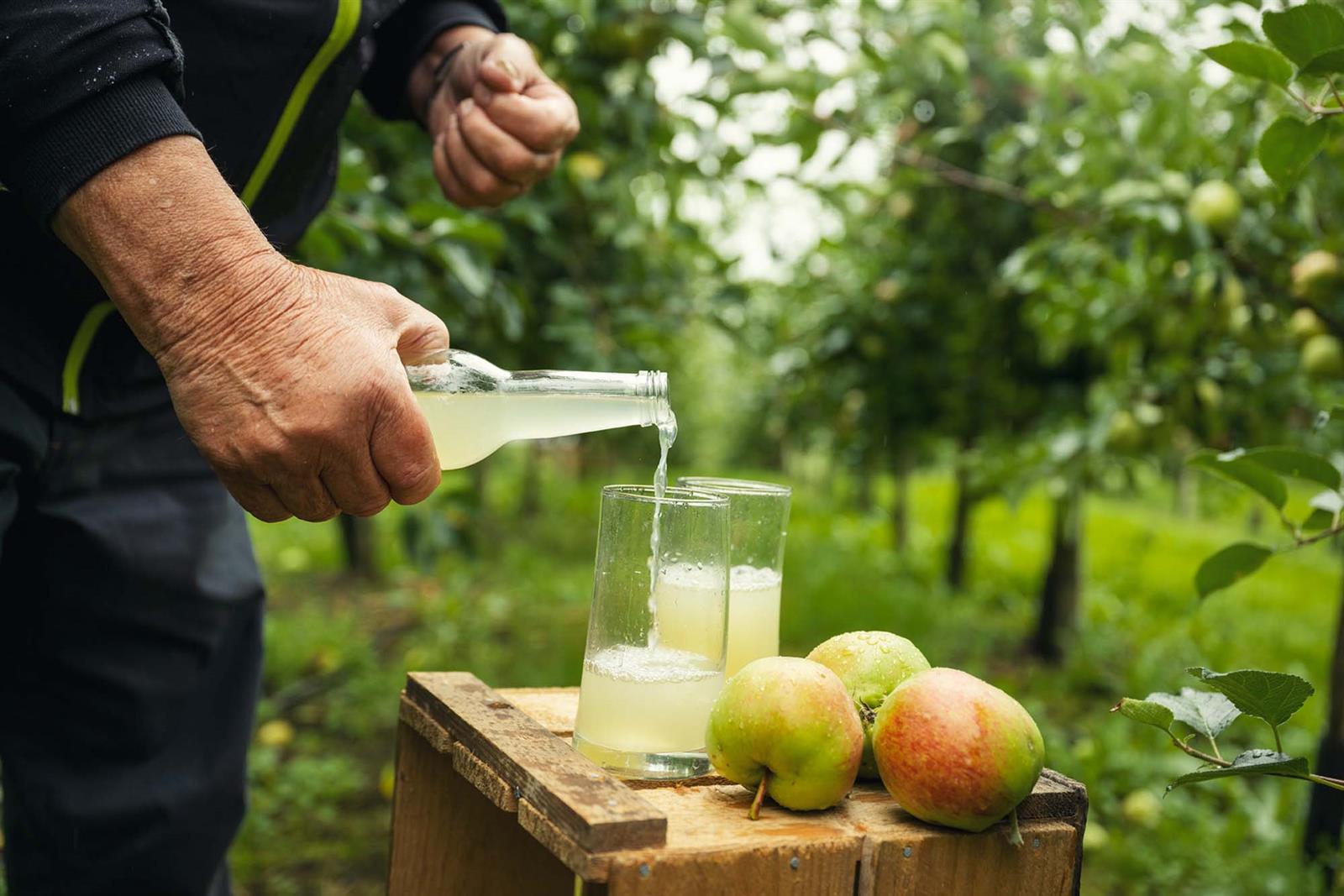 Local juice from Mikkelhaug farm