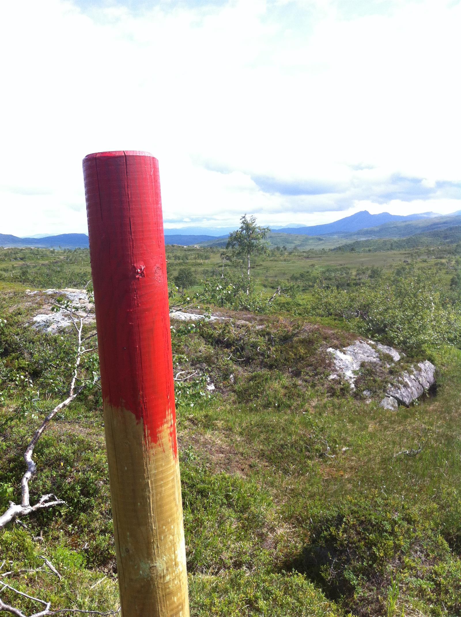 Turforslag: Lissfjellet / Såålevuernie 658 moh.