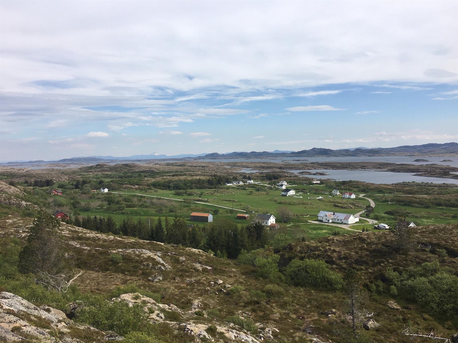 Turforslag: Lyngstuen 89 moh, Borgan