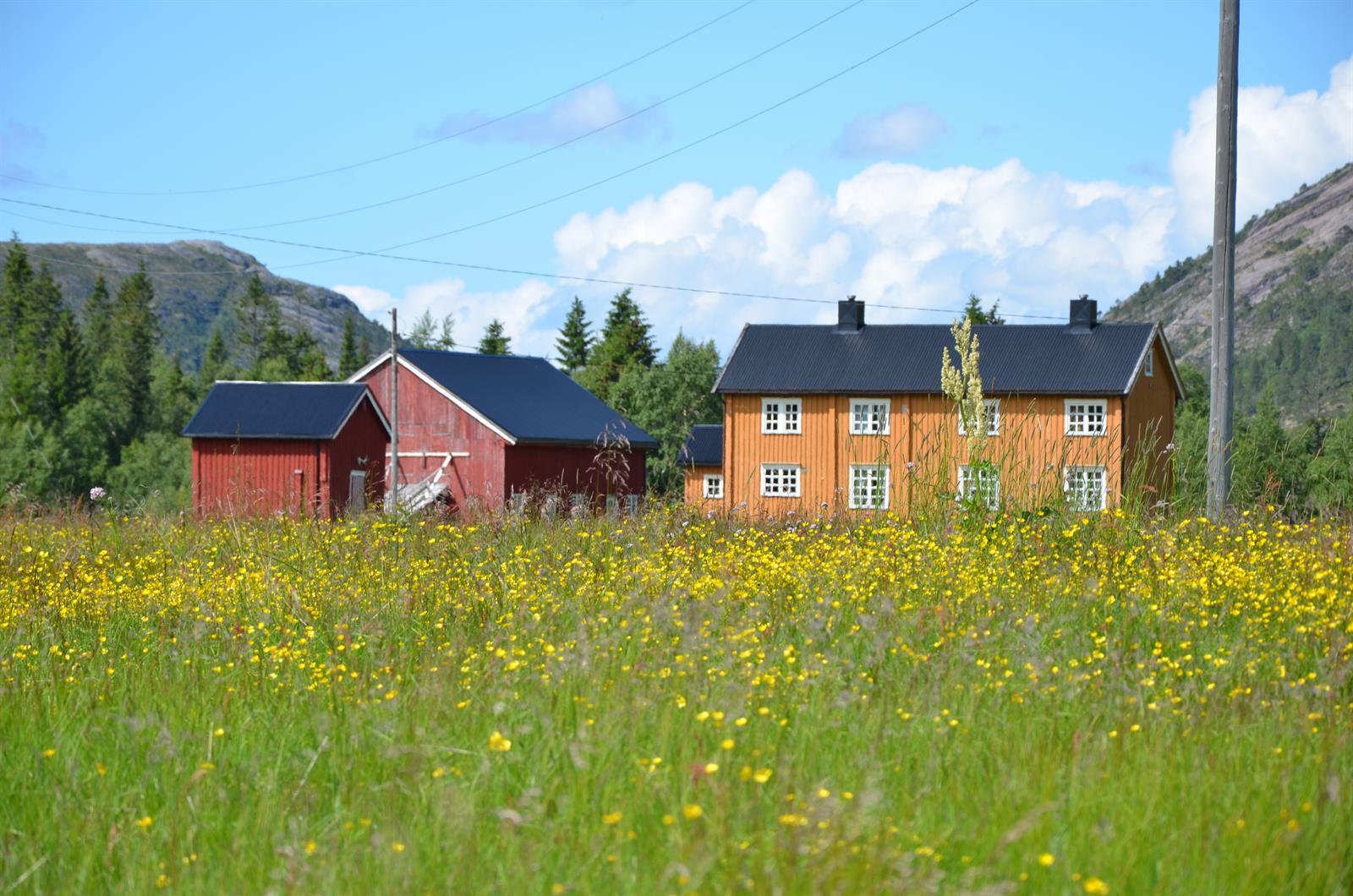 Saksen Gård - a farm surrounded by wilderness