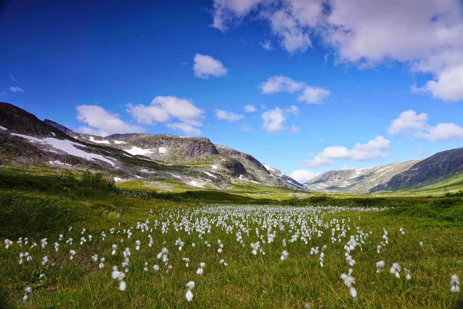 Børgefjell/Byrkije Nationalpark