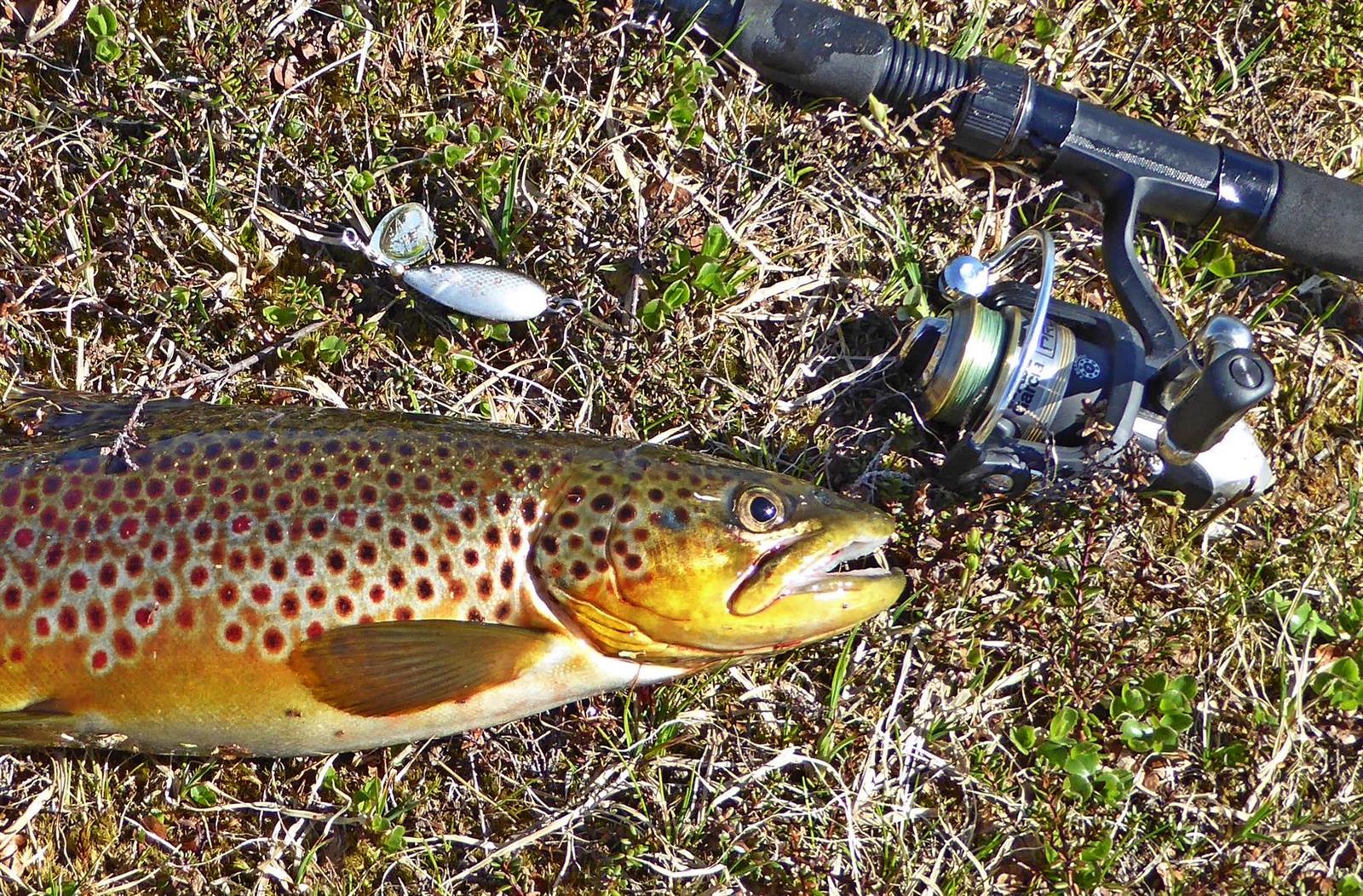 Fishing in Namsskogan