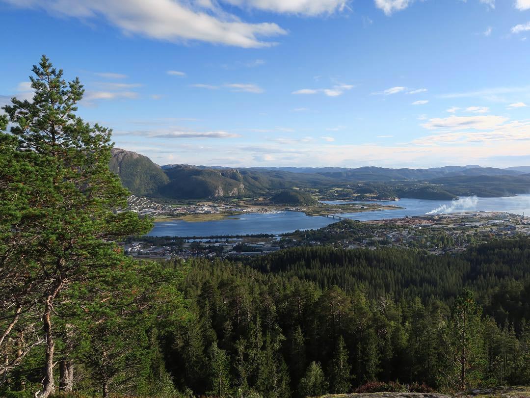 Turforslag: Svartfjellet 245 moh.