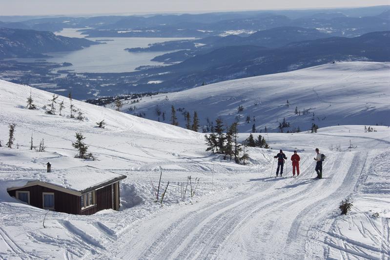 Bø I Telemark Overnatting – De 10 beste overnattingsstedene i Bø (Norge ...