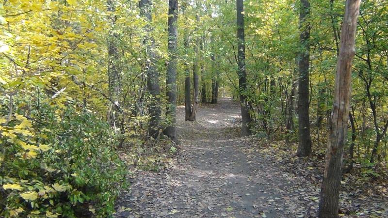 Plakat Skogstur med Miljøagentene