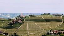 Wine tasting with Gjermund Myklebust