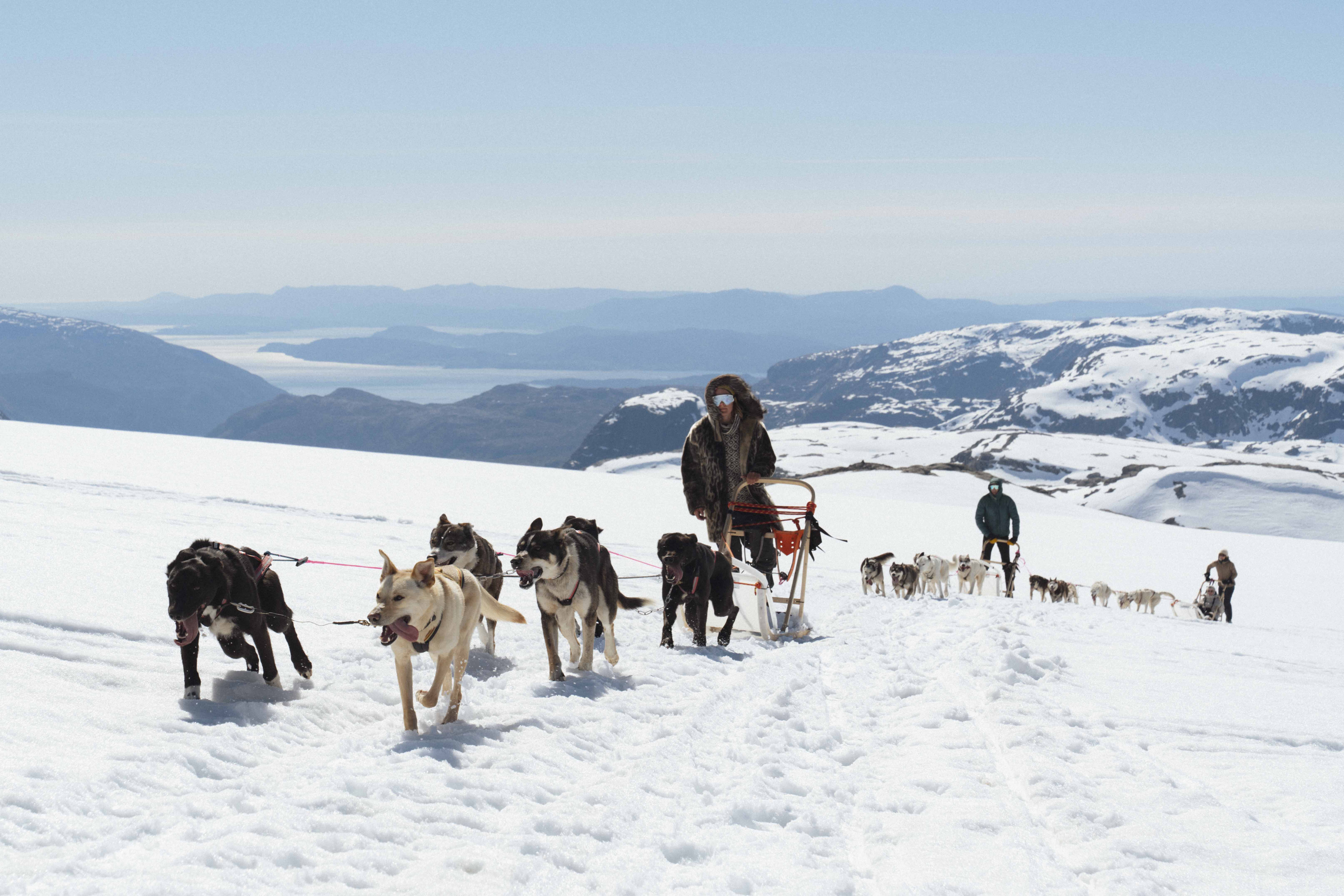 Folgefonna Husky Camp