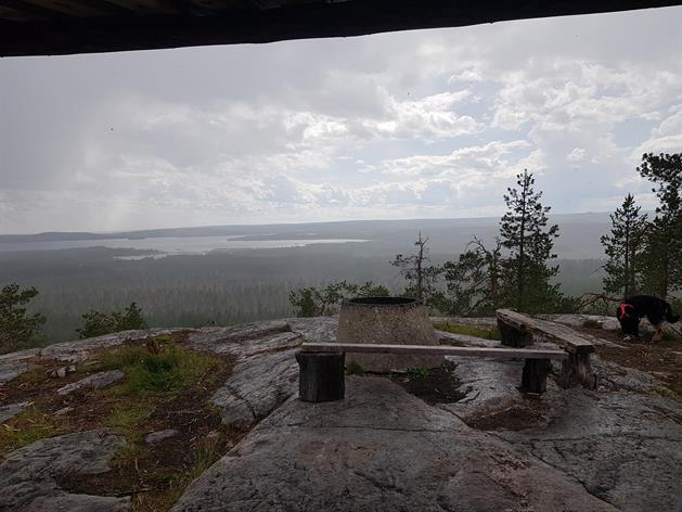 Activities Visitors Activities