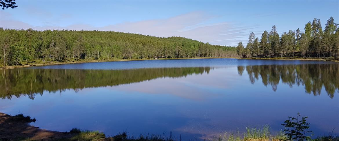 Laxtjärn the Lake